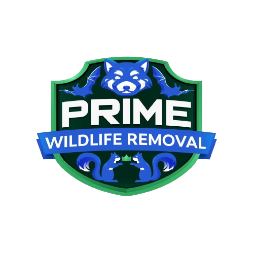 Wildlife Removal Vernon